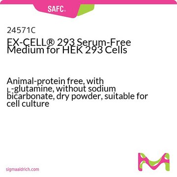 Anti-PCCA antibody produced in rabbit