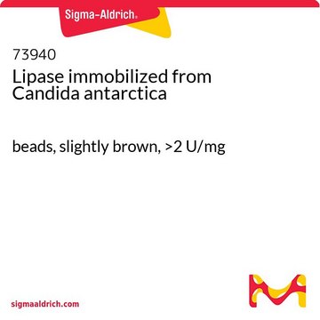Lipase immobilized from Candida antarctica