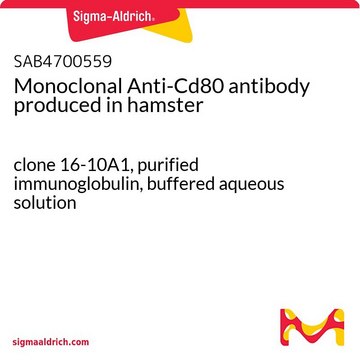 Monoclonal Anti-Cd80 antibody produced in