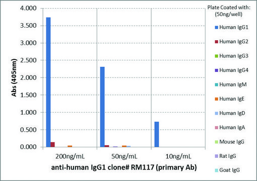 Anti-Human IgG1-Biotin antibody, Rabbit monoclonal