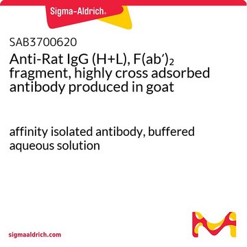 Anti-Rat IgG (H+L), F(ab?)? fragment,