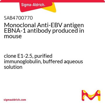 Monoclonal Anti-EBV antigen EBNA-1 antibody