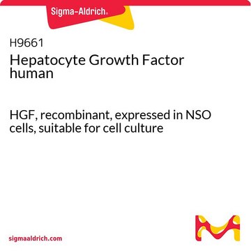 Hepatocyte Growth Factor human