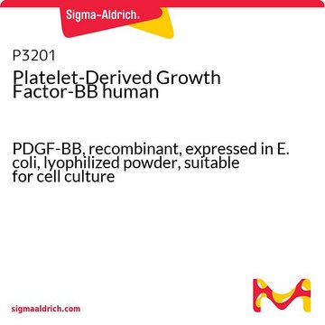 Platelet-Derived Growth Factor-BB human