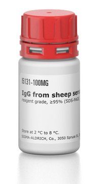 IgG from sheep serum