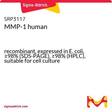 MMP-1 human