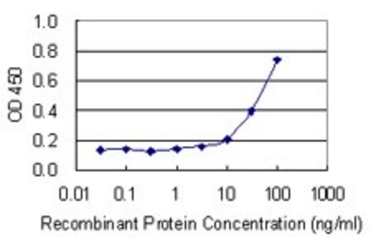 Monoclonal Anti-NHLH1 antibody produced in