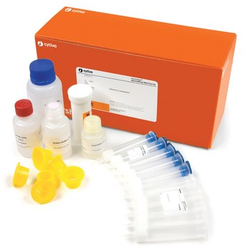 ILLUSTRA PLASMID MIDI (25)