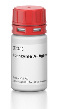 Coenzyme A–Agarose