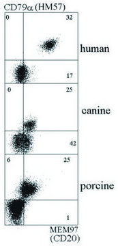 Monoclonal Anti-CD20, azide free antibody