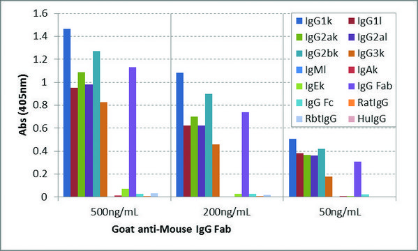 Anti-Mouse IgG Fab antibody, Goat