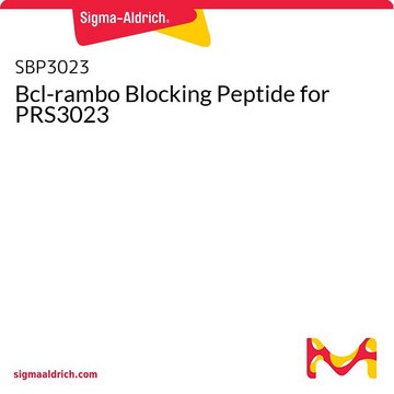 Bcl-rambo Blocking Peptide for PRS3023