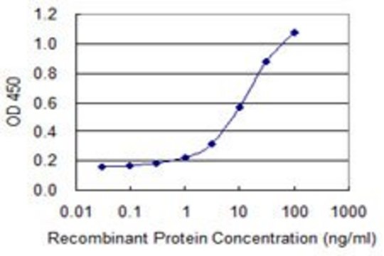 ANTI-BMP5 antibody produced in mouse