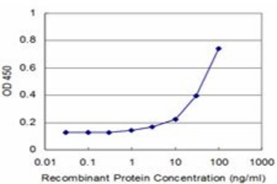 Monoclonal Anti-SLIT3 antibody produced in