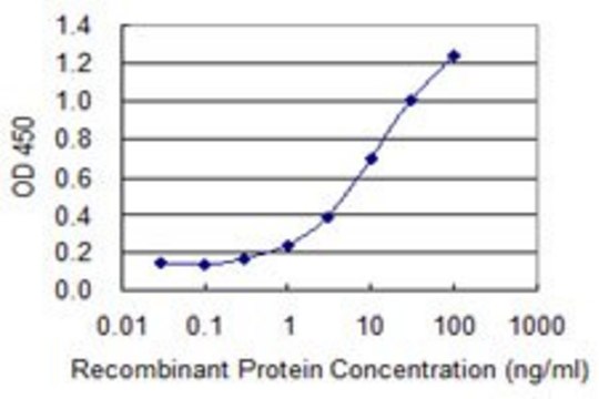 Monoclonal Anti-SOLH, (C-terminal) antibody produced