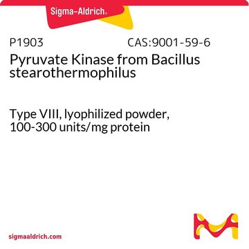 Pyruvate Kinase from Bacillus stearothermophilus