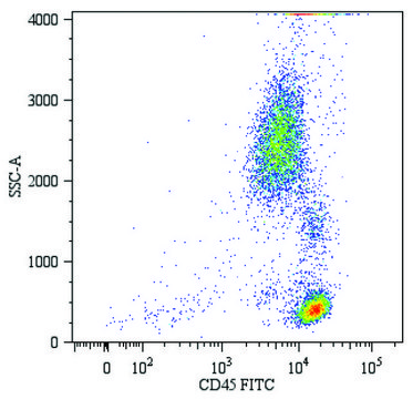 Monoclonal Anti-CD45-FITC antibody produced in