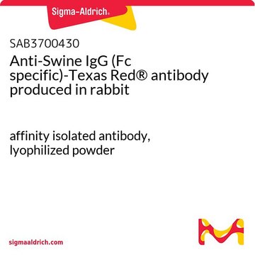 Anti-Swine IgG (Fc specific)-Texas Red®