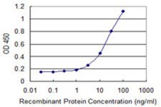 Monoclonal Anti-NNAT antibody produced in