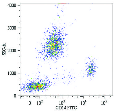 Monoclonal Anti-CD14-FITC antibody produced in