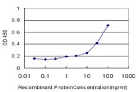 ANTI-GPT antibody produced in mouse