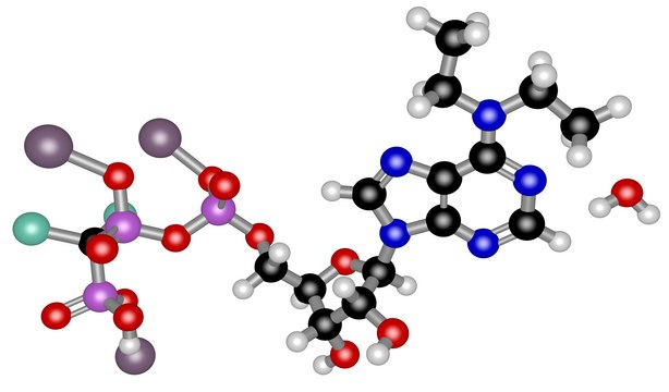 ARL 67156 trisodium salt hydrate