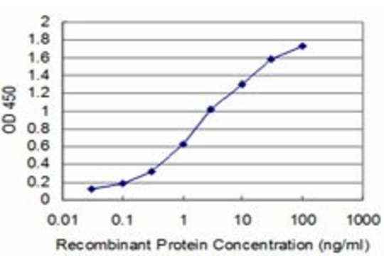 Monoclonal Anti-MIB2 antibody produced in