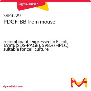 PDGF-BB from mouse