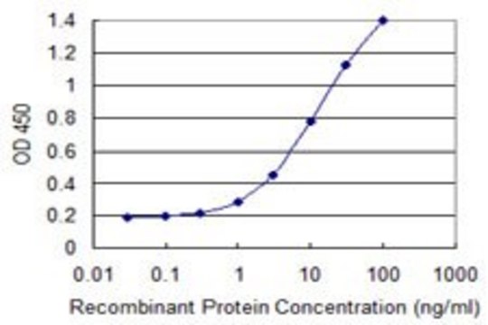 Monoclonal Anti-ZNF69 antibody produced in