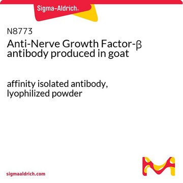 Anti-Nerve Growth Factor-? antibody produced