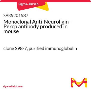 Monoclonal Anti-Neuroligin - Percp antibody