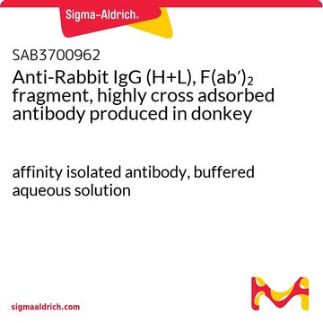 Anti-Rabbit IgG (H+L), F(ab?)? fragment,