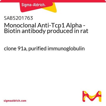 Monoclonal Anti-Tcp1 Alpha - Biotin
