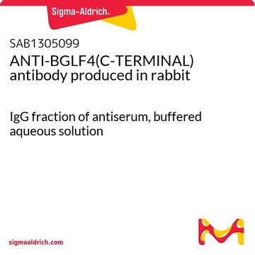 ANTI-BGLF4(C-TERMINAL) antibody produced in rabbit