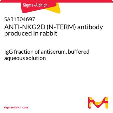 ANTI-NKG2D (N-TERM) antibody produced in