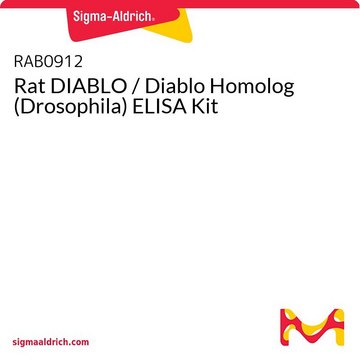 Rat DIABLO / Diablo Homolog