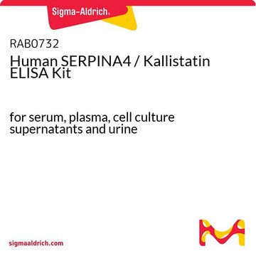 Human SERPINA4 / Kallistatin ELISA