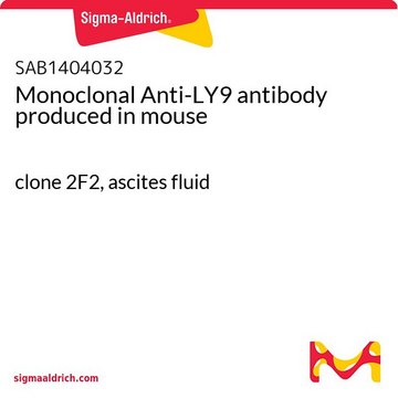 Monoclonal Anti-LY9 antibody produced in
