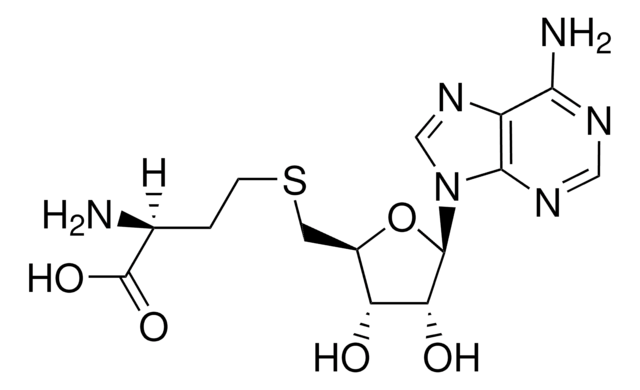 S-ADENOSYL-L-HOMOCYSTEINE, UNITED STATES