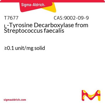 ?-Tyrosine Decarboxylase from Streptococcus faecalis