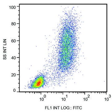 Monoclonal Anti-CD13 antibody produced in