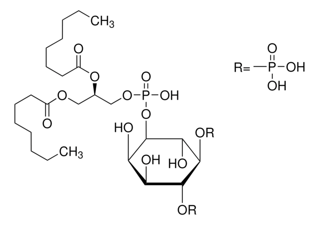 ?-?-Phosphatidyl-?-myo-inositol 4,5-diphosphate, dioctanoyl