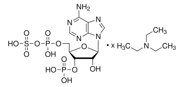 Adenosine 3?-phosphate 5?-phosphosulfate triethylammonium salt