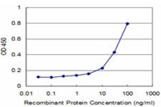 Monoclonal Anti-RPS27A, (C-terminal) antibody produced