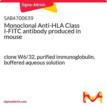 Anti-TIGIT (C-terminal) antibody produced in