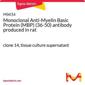 Monoclonal Anti-Myelin Basic Protein (MBP)