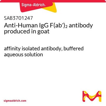 Anti-Human IgG F(ab?)? antibody produced