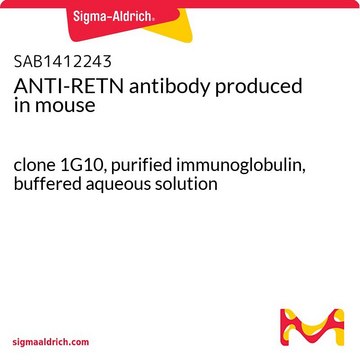 ANTI-RETN antibody produced in mouse