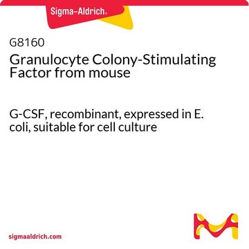 Granulocyte Colony-Stimulating Factor from mouse