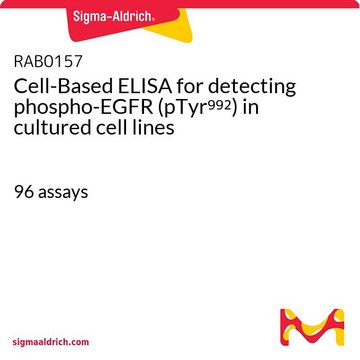 Cell-Based ELISA for detecting phospho-EGFR